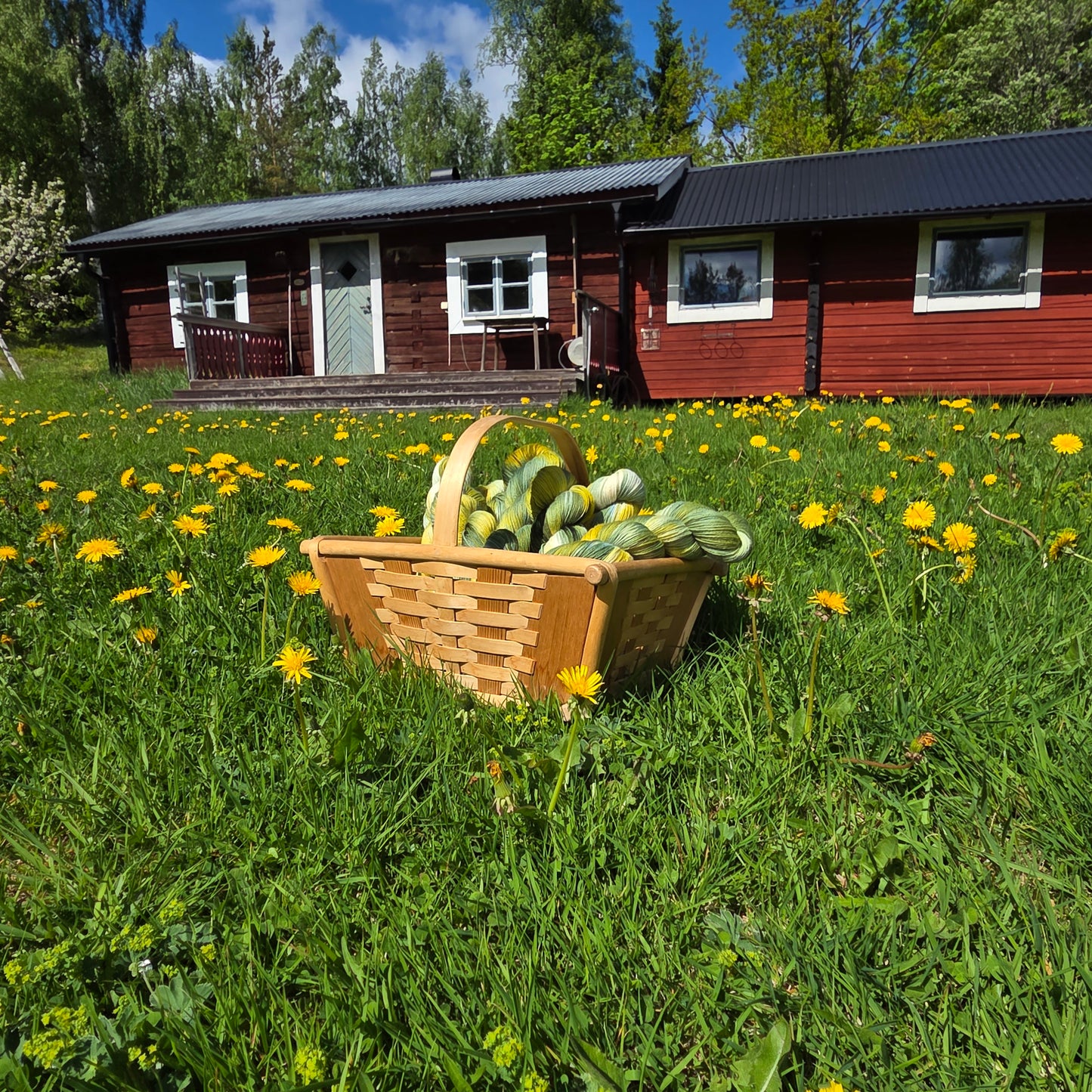 Juni månads garn "Maskrosäng"