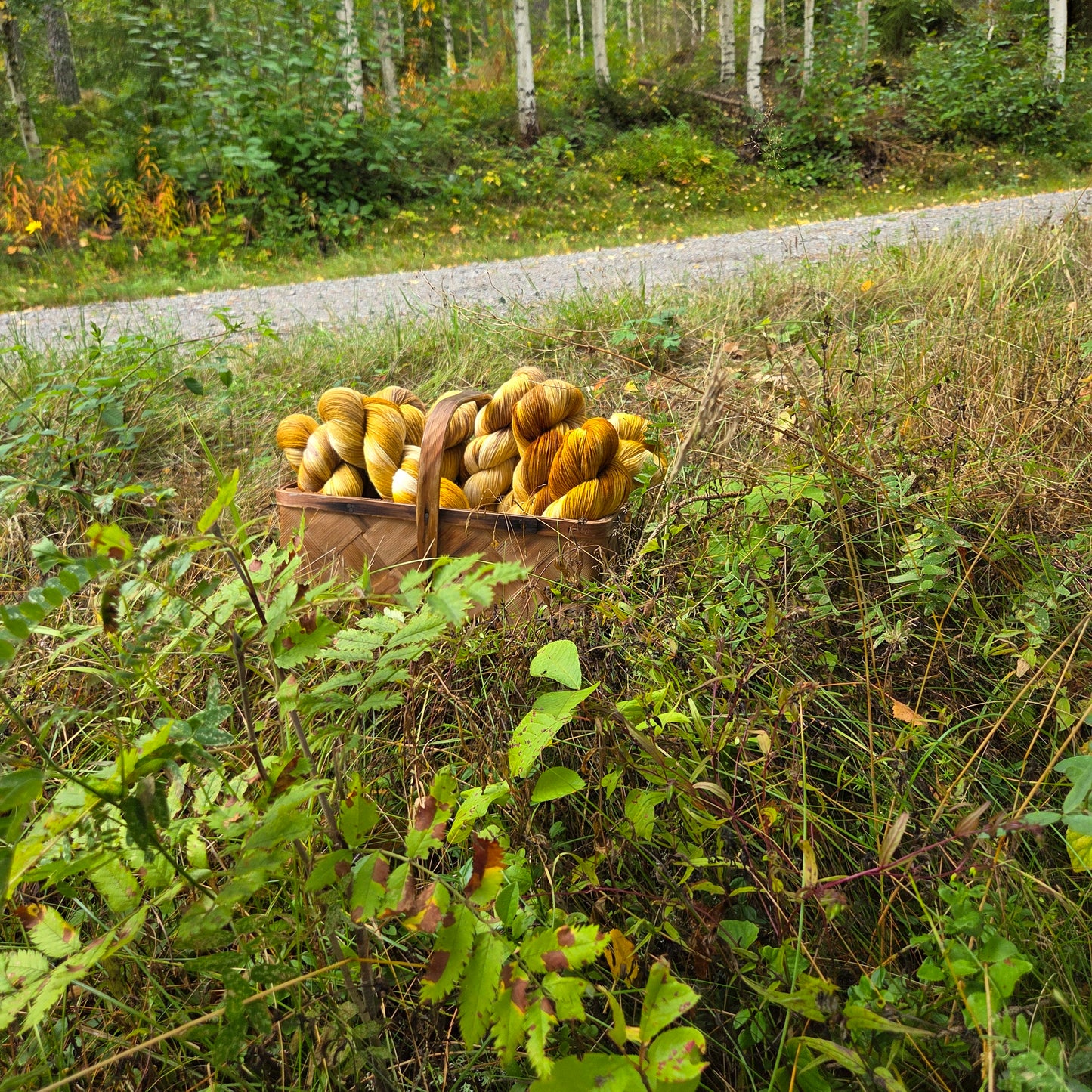 September månads garn "Hej kantarell"